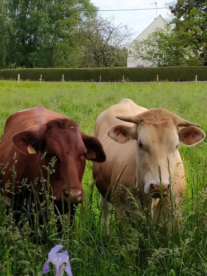 La Chaussee d'Olivet en Mayenne Buitenkant foto