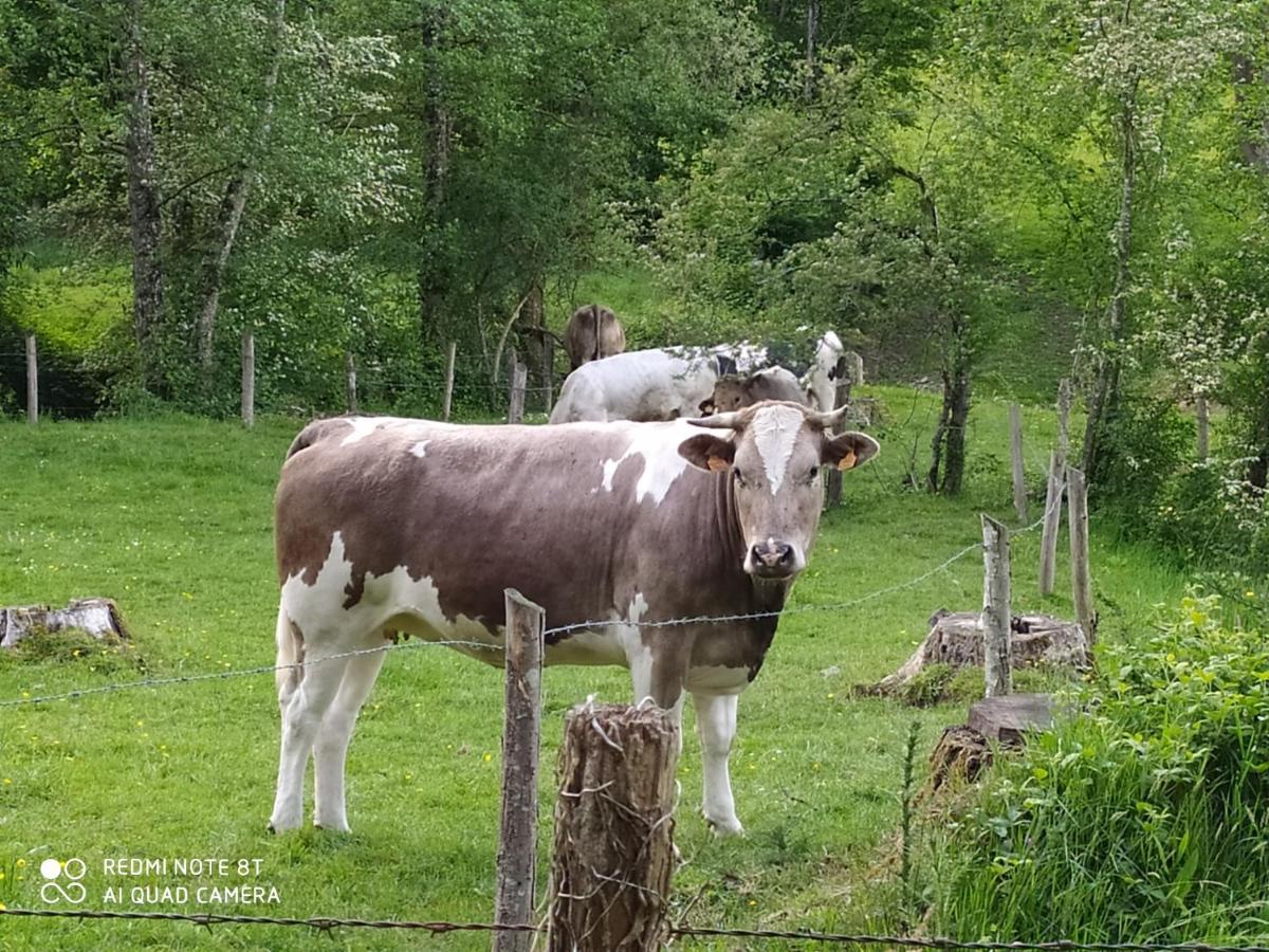 La Chaussee d'Olivet en Mayenne Buitenkant foto